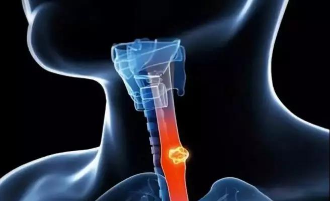 1559203584584328.jpg 3.jpg