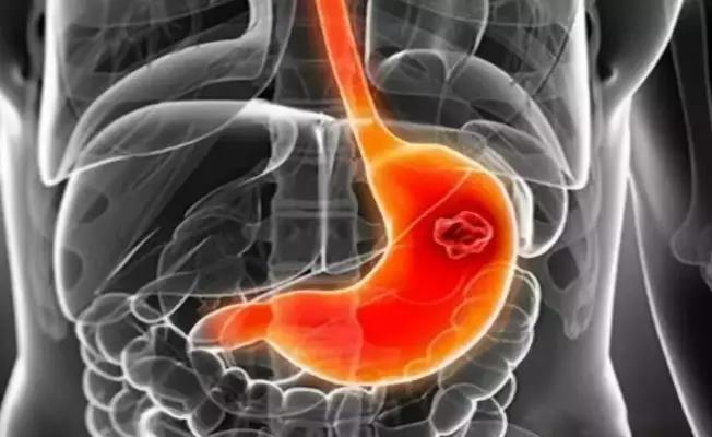 1559203604768654.jpg 4.jpg