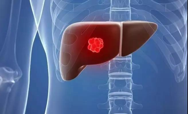 1559203613238504.jpg 5.jpg