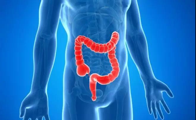 1559203633636926.jpg 6.jpg