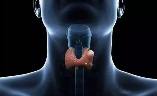 1559203644768423.jpg 7.jpg