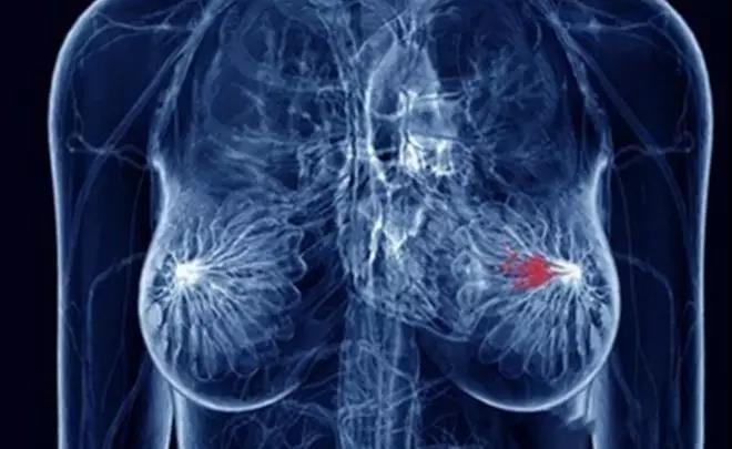 1559203653948749.jpg 8.jpg