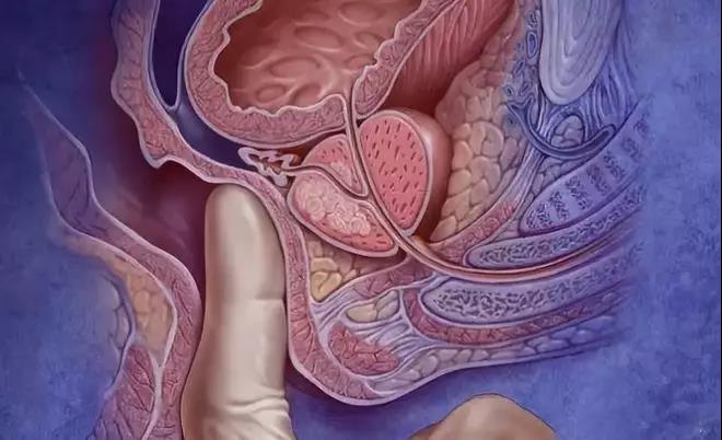 1559203666780280.jpg 9.jpg