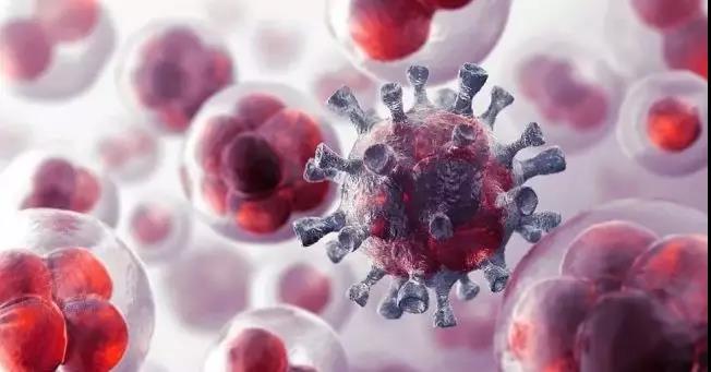 1559203722103296.jpg 10.jpg