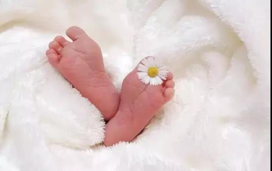 1566635274183776.jpg 5.jpg