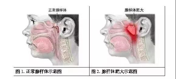 1574401543225639.jpg 3.jpg