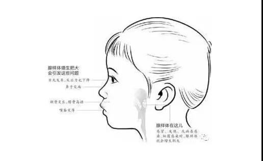 1574401571145720.jpg 4.jpg