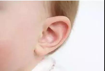 1574401584280777.jpg 5.jpg