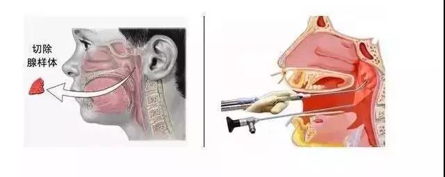 1574401624662871.jpg 6.jpg