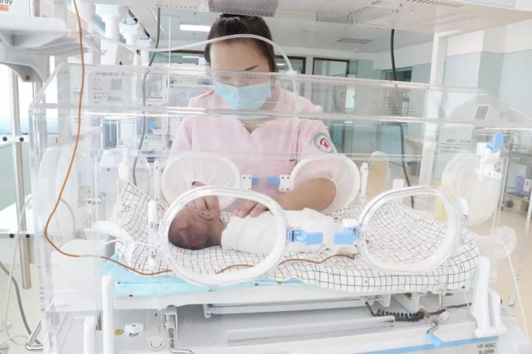 1575014385692085.jpg 2.jpg