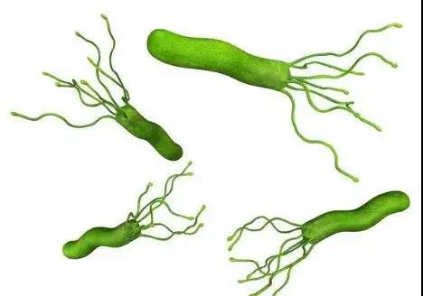 1592976229853834.jpg 1.jpg